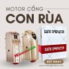Motor cổng con rùa