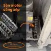 sên cổng xếp loại tốt