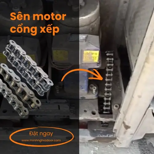 sên cổng xếp loại tốt