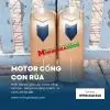 Motor cổng con rùa 13 motor cổng con rùa 500kg