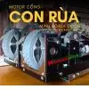 Motor cổng con rùa 14 motor cổng con rùa chính hãng