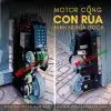 Motor cổng con rùa 15 motor cửa cổng con rùa